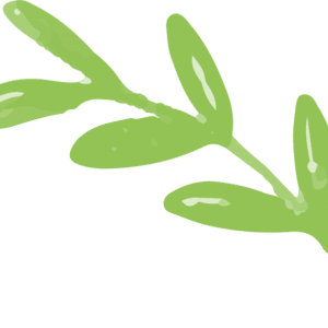leaves free img